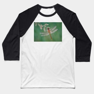 Common Darter Dragonfly on grass Baseball T-Shirt
